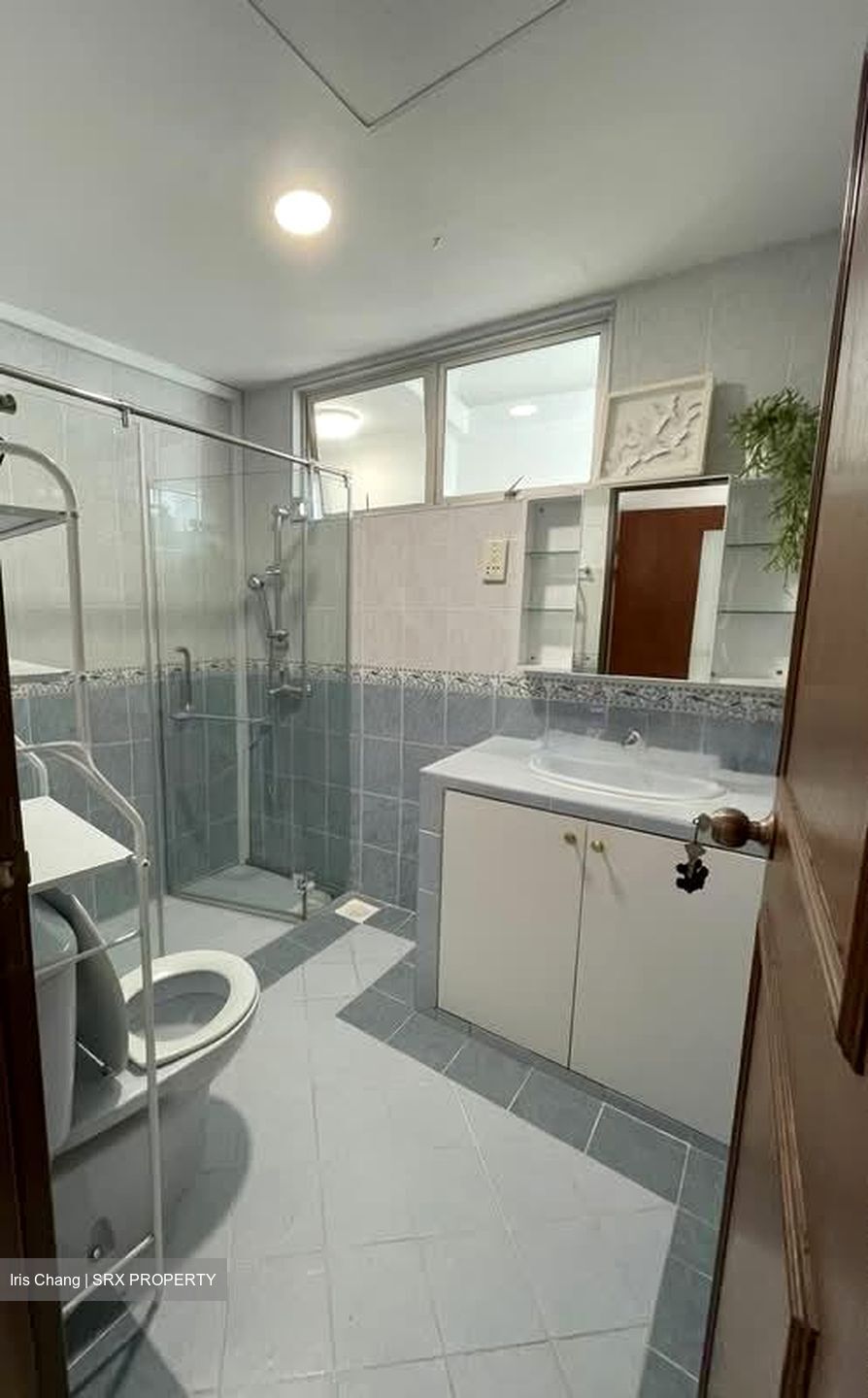 Clementi Park (D21), Condominium #560302601